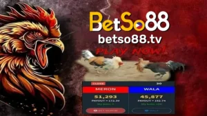 Online Sabong BETSO88